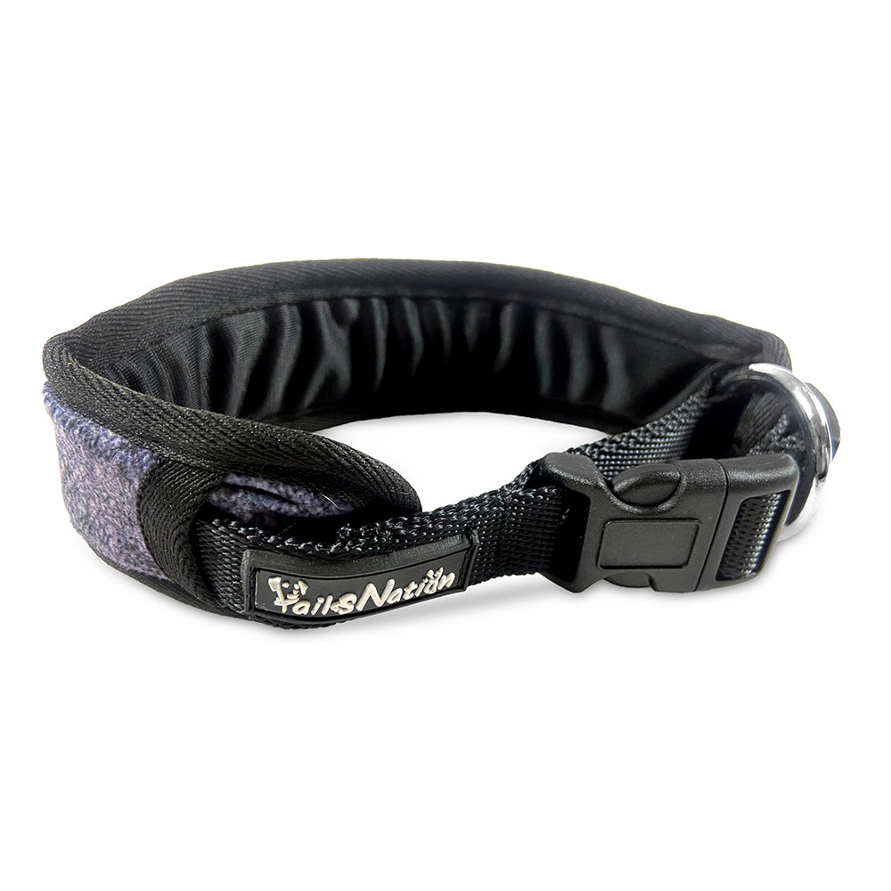 Tails Nation Padded Collar Silver For Your Furry Friend - Assorted Color