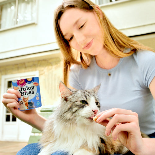 Inaba Juicy Bites Calamari & Homestyle Broth Flavor Grain Free Treat For Cats (11.3gmx3)