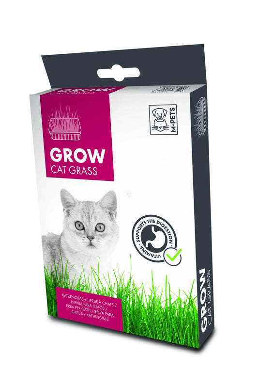 M-PETS_29010503 GROW Cat Grass 3D sim copie