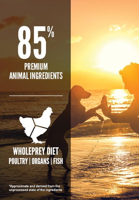 Orijen Puppy Dry Food - All Breeds
