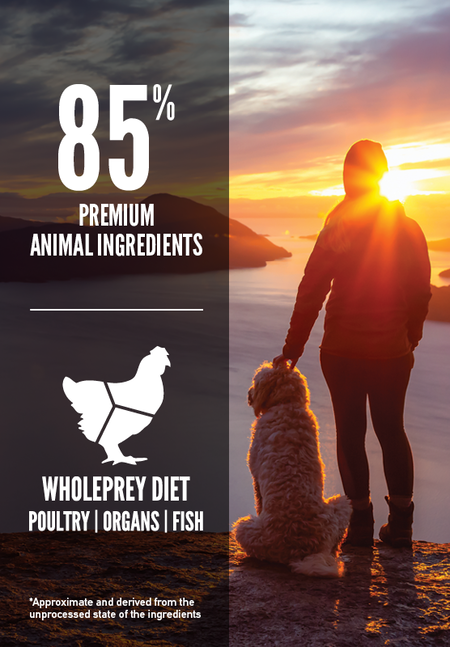 Orijen Senior Dry Dog Food - All Breeds