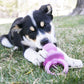 PuppyBinkie_Logo