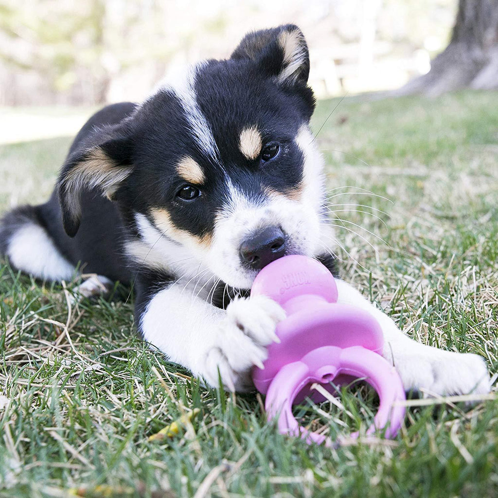 PuppyBinkie_Logo