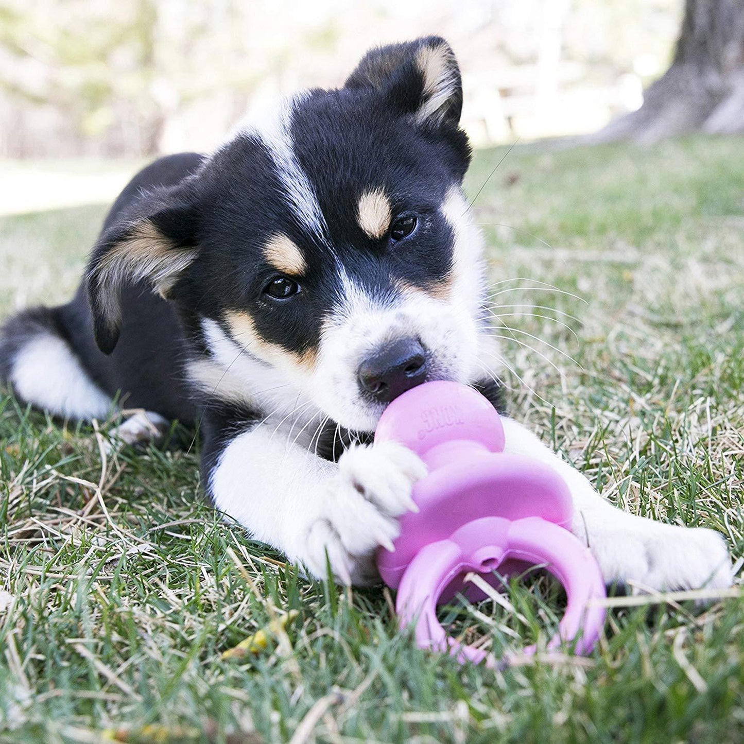 PuppyBinkie_Logo