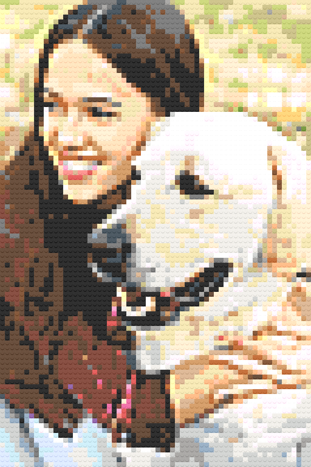 Tails Nation Pixel Art Gallery For Your Furry Friend