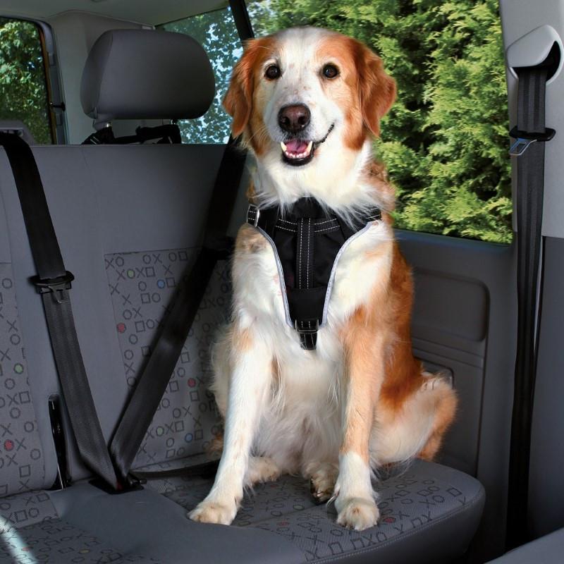 Trixie-Dog-Protect-Car-Harness-2