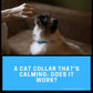 cat-collar-thats-calming-1024x1024