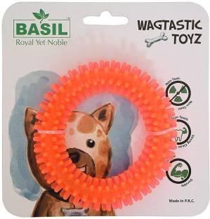 dental-spike-puppy-ring-chew-dog-toy-basil-original-imafejrhg4d2fvqf