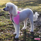 dog_hair_dye_dog_hair_color_safe_dye_for_dog_by_opawz_836x