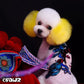 dog_hair_dye_opawz_permanent_pet_color_800x