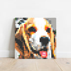 Tails Nation Pixel Art Gallery For Your Furry Friend