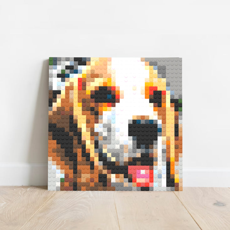 Tails Nation Pixel Art Gallery For Your Furry Friend