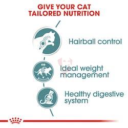 fcn-wet-hairballcaregravy-cv-eretailkit-2