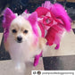 opawz_adorable_pink_dog_hair_dye_permanent_pet_hair_dye_dog_dye_600x