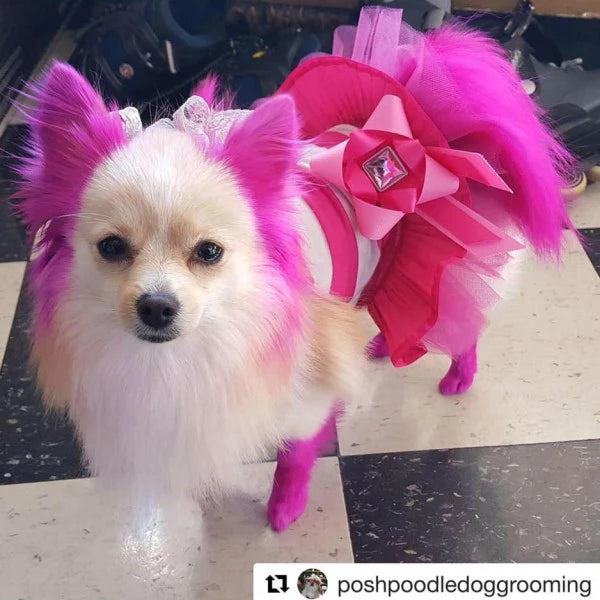 opawz_adorable_pink_dog_hair_dye_permanent_pet_hair_dye_dog_dye_600x
