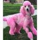 opawz_dog_hair_dye-charm_pink_permanent_pet_hair_color_800x