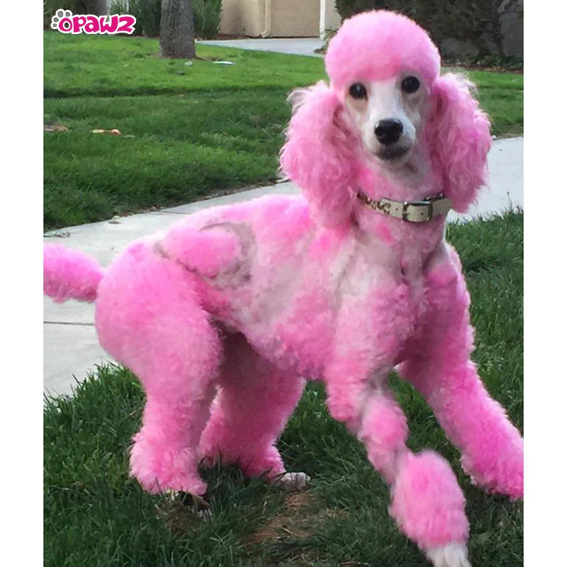 opawz_dog_hair_dye-charm_pink_permanent_pet_hair_color_800x