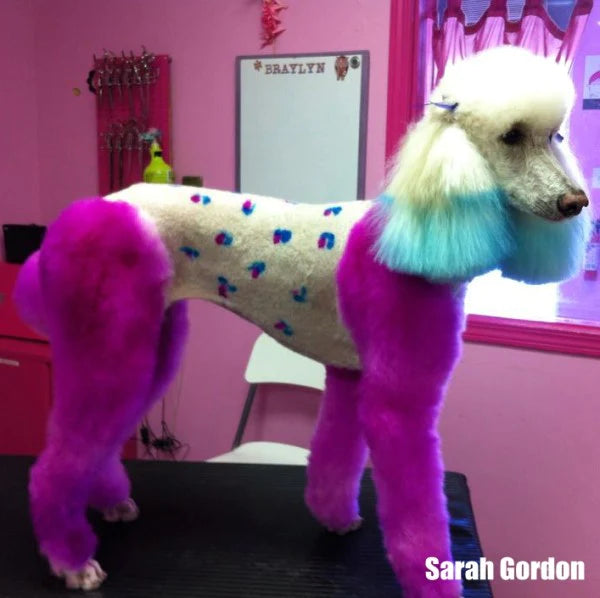 opawz_dog_hair_dye_pink_600x