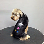 opawz_glitter_gel_for_dog_1_2_03034708-4aa0-465a-80c7-8515e384c7a4_600x