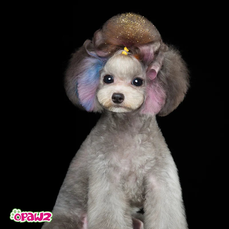 opawz_glitter_powder_2c977ea8-9b0d-4e80-aaca-bc51adc13c4d_800x