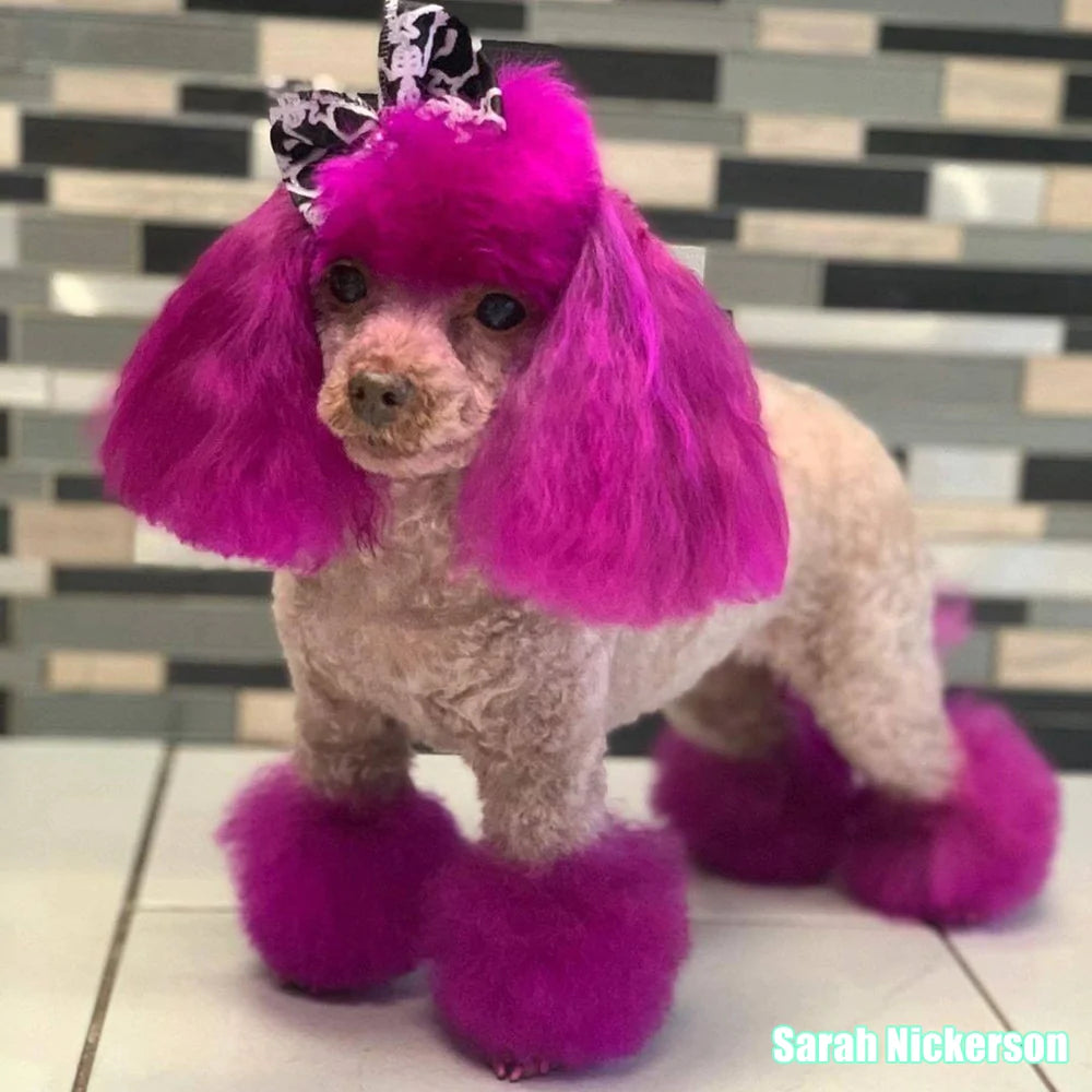opawzadorablepinkdogdye_1000x