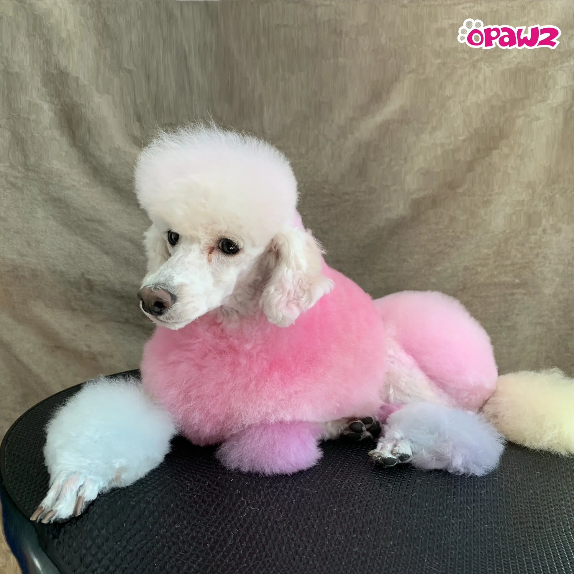 opawzfunkycolordepositeshampoo_f0a4dadf-87e5-40b0-aaae-74c172e15a4a_4032x