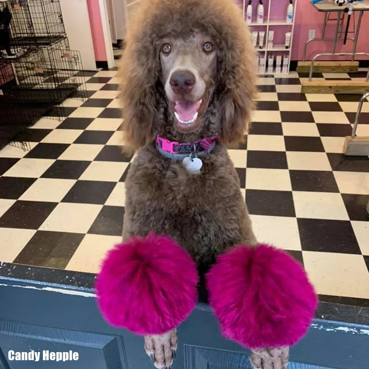 opawzpinkdyefordogandhorse_dogdye_pethaircolor_720x