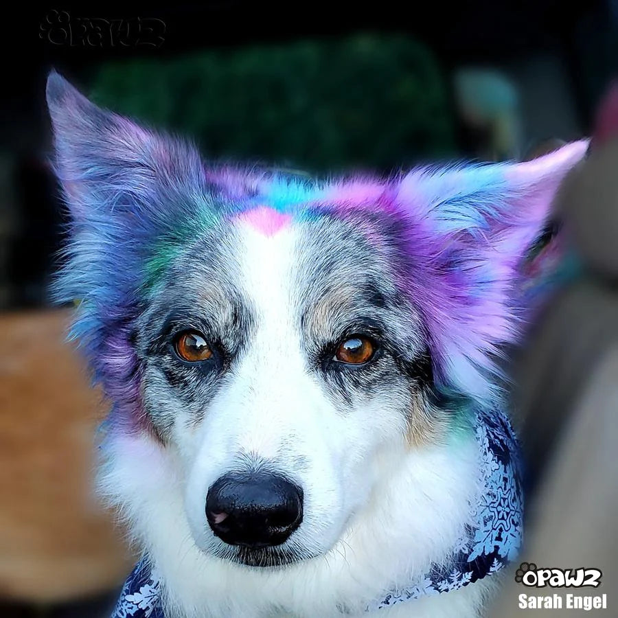 Opawz Semi Permanent Pet Hair Dye 150 gm