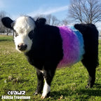 opawzsemi-permanentpethaircolorforcow_goat_800x