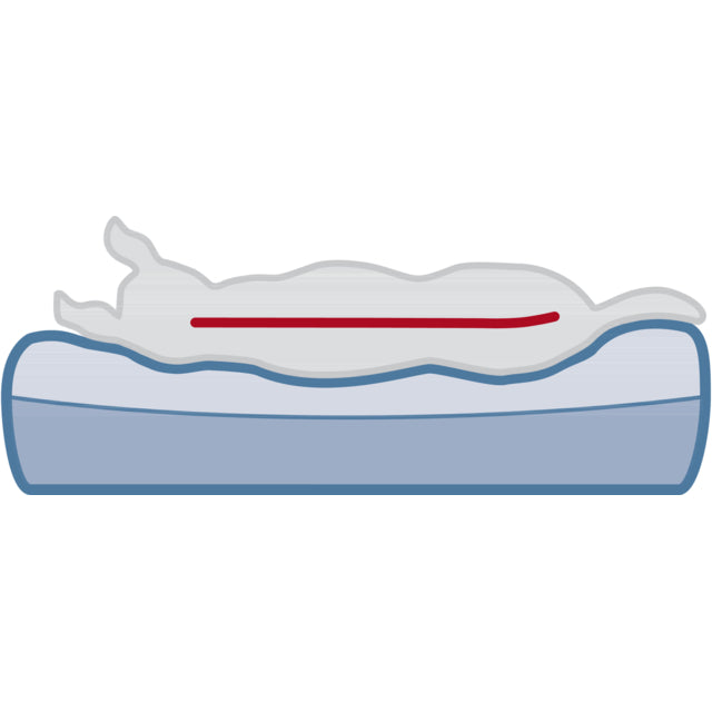 Trixie Bendson Vital Orthopaedic Mattress For Dogs