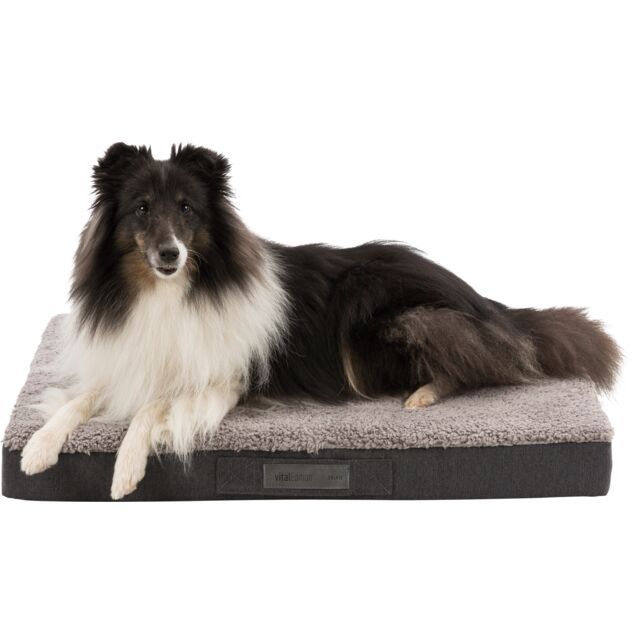 Trixie Bendson Vital Orthopaedic Mattress For Dogs