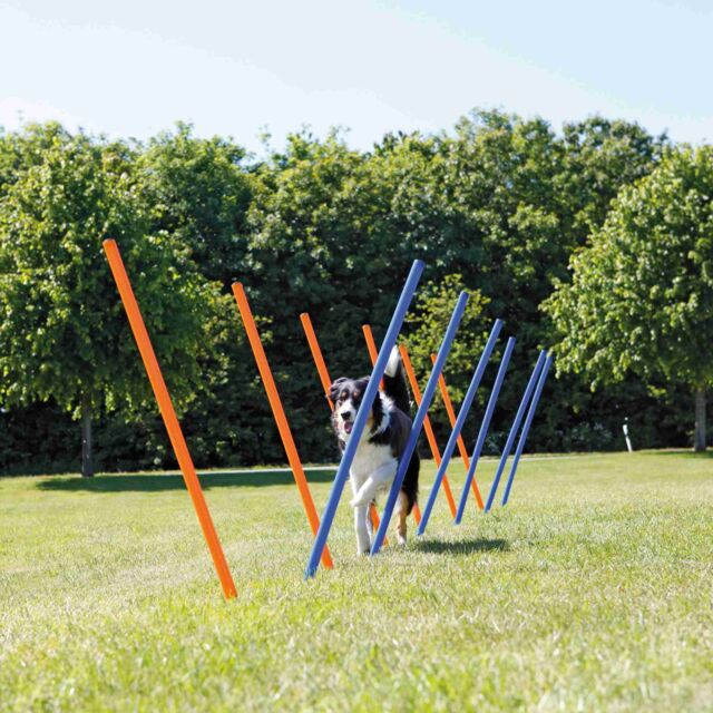 Trixie Agility Slalom Weave Poles Set of 12 For Dogs