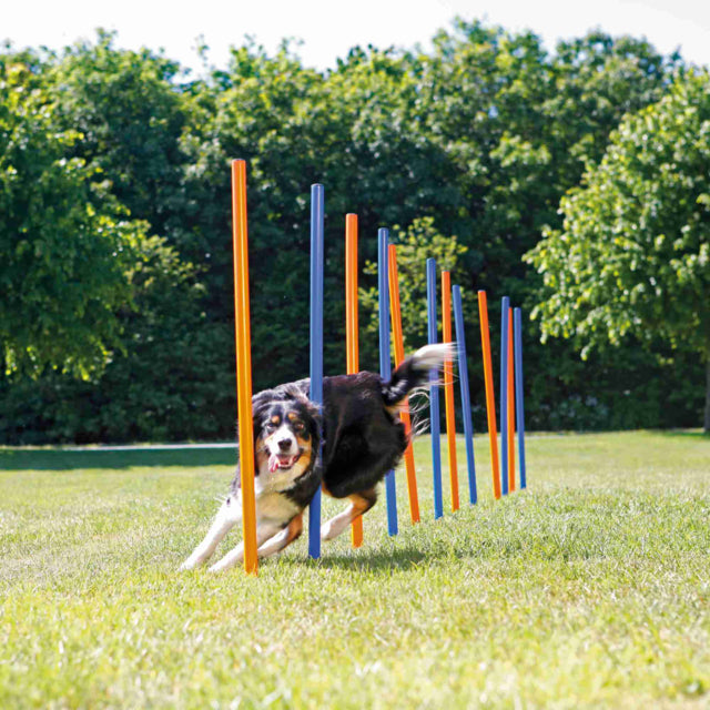 Trixie Agility Slalom Weave Poles Set of 12 For Dogs