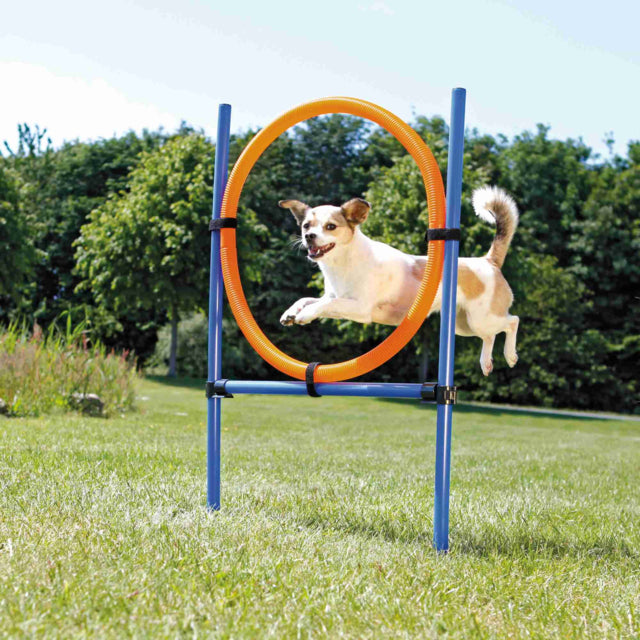 Trixie Agility Ring Orange/Blue Set For Dogs