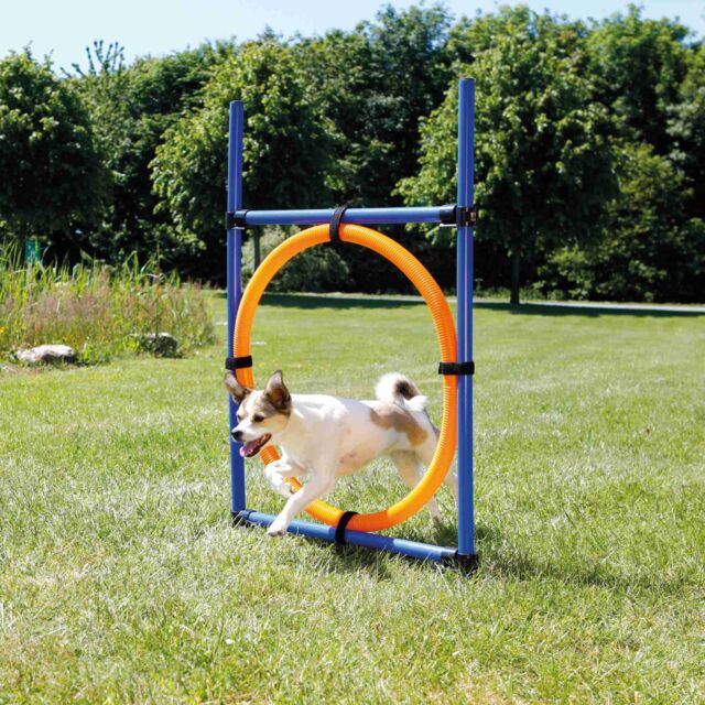 Trixie Agility Ring Orange/Blue Set For Dogs