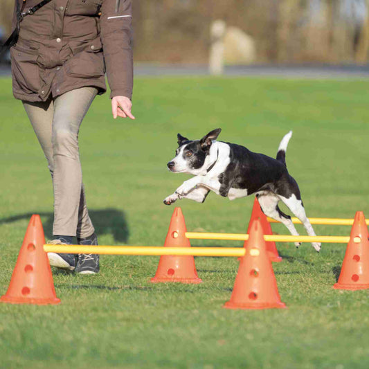 Trixie Dog Agility Obstacles (Pylon & Poles) Set  23 x 30 x ,78cm