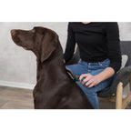 Trixie Soft Brush plastic/ Metal Bristles For Dogs 10 X 17 cm