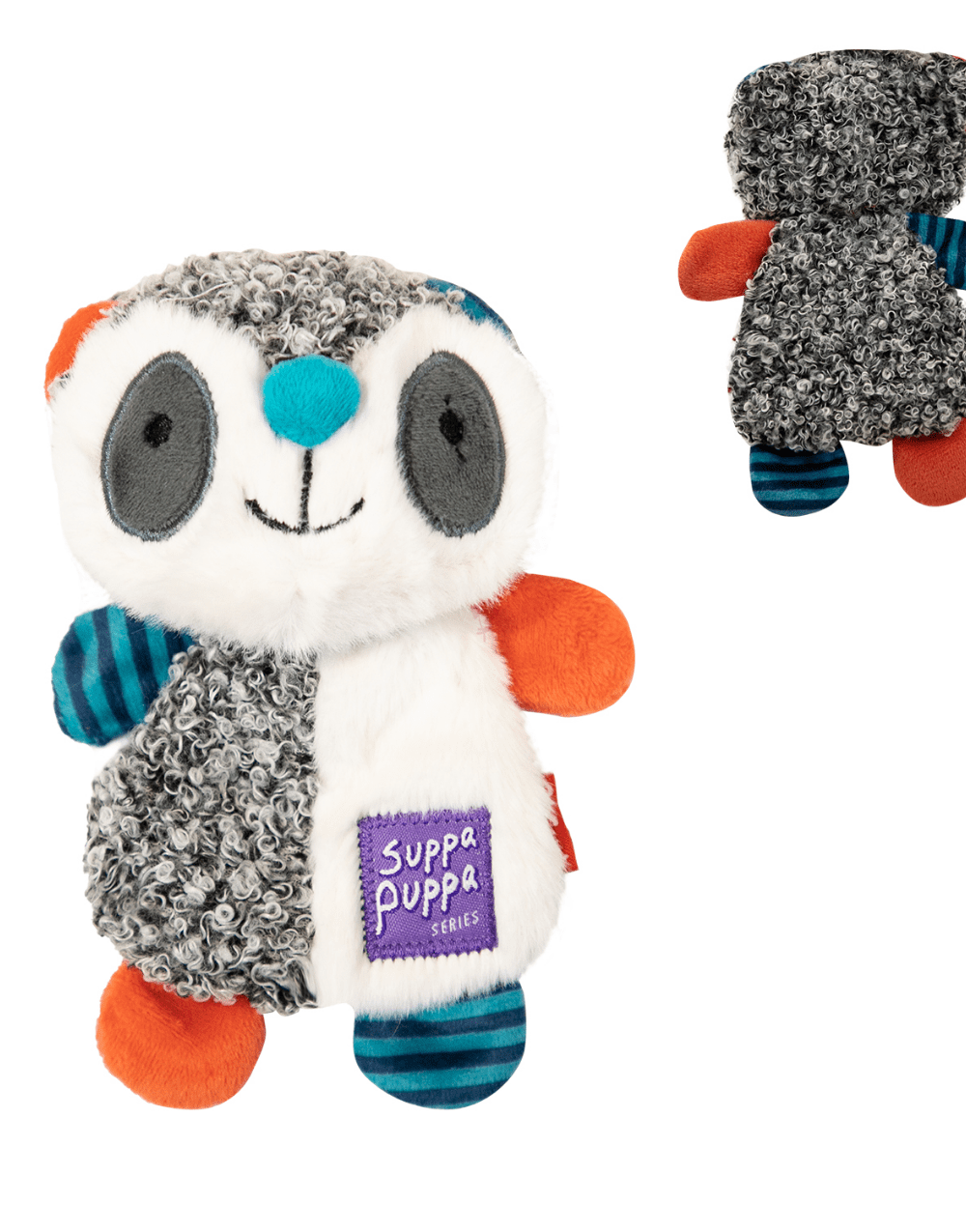 racoon-1