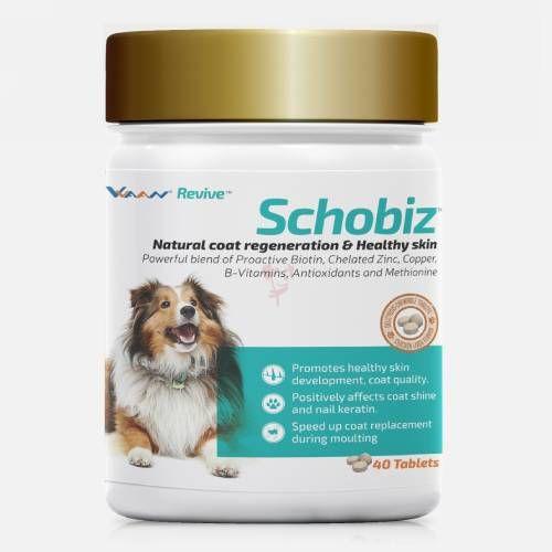 schobiz (1)