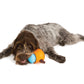 toppl-treat-toy-with-dog-brown